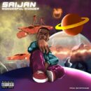 Saijan Niphkeys Wonderful Wonder